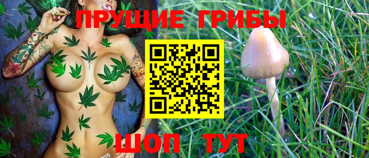 Псилоцибиновые грибы ЛСД  Псилоцибиновые грибы Psilocybe  сколько стоит  Борзя  Вход с VPN 