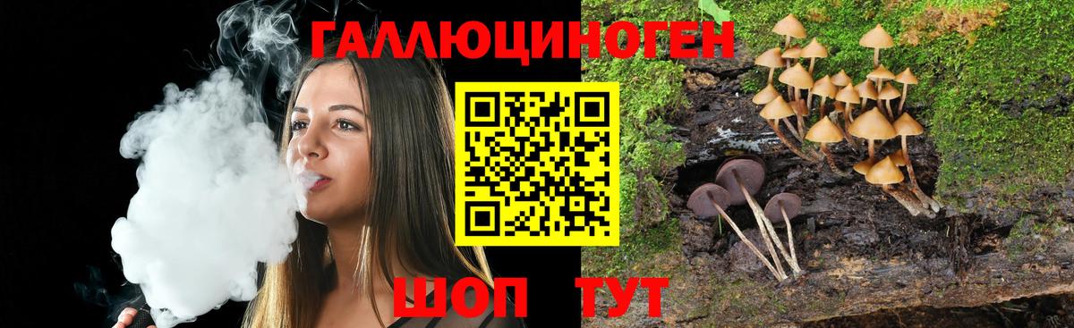 Псилоцибиновые грибы ЛСД Борзя